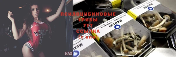 МДМА Каменногорск