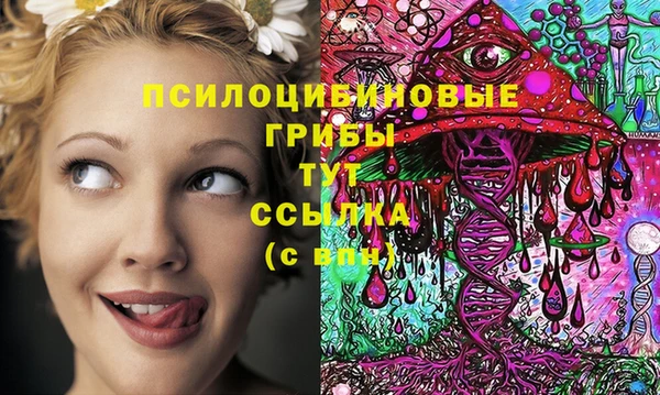 МДМА Каменногорск