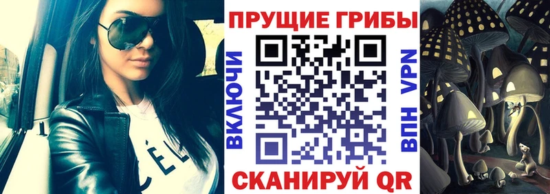 Купить закладки  Володарск  Галлюциногенные грибы мицелий 